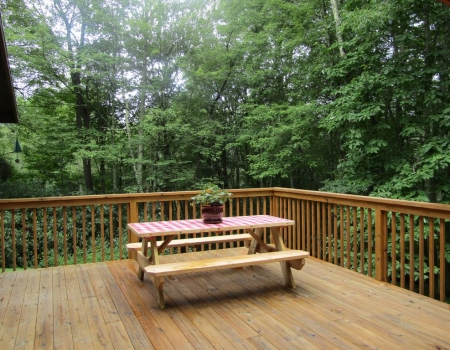 Bear Cub Cabin_5